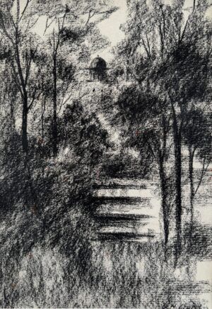 G. N. Qazi | Title: | Medium: Charcoal On Paper | Size: 11 x 16 inches